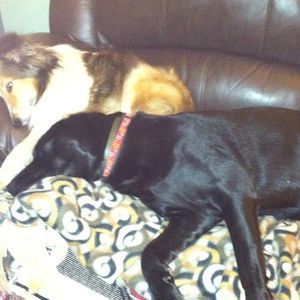 Meet your Posher, Ceclie